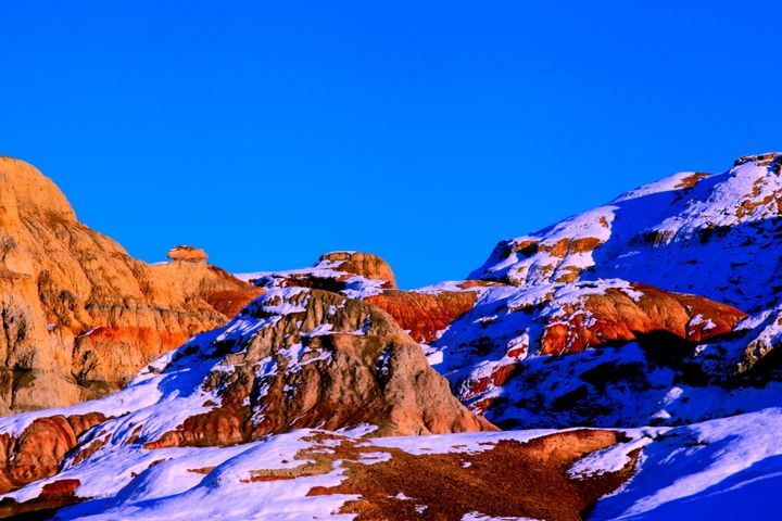 北疆环线10日游最新,北疆环线10日游旅游团