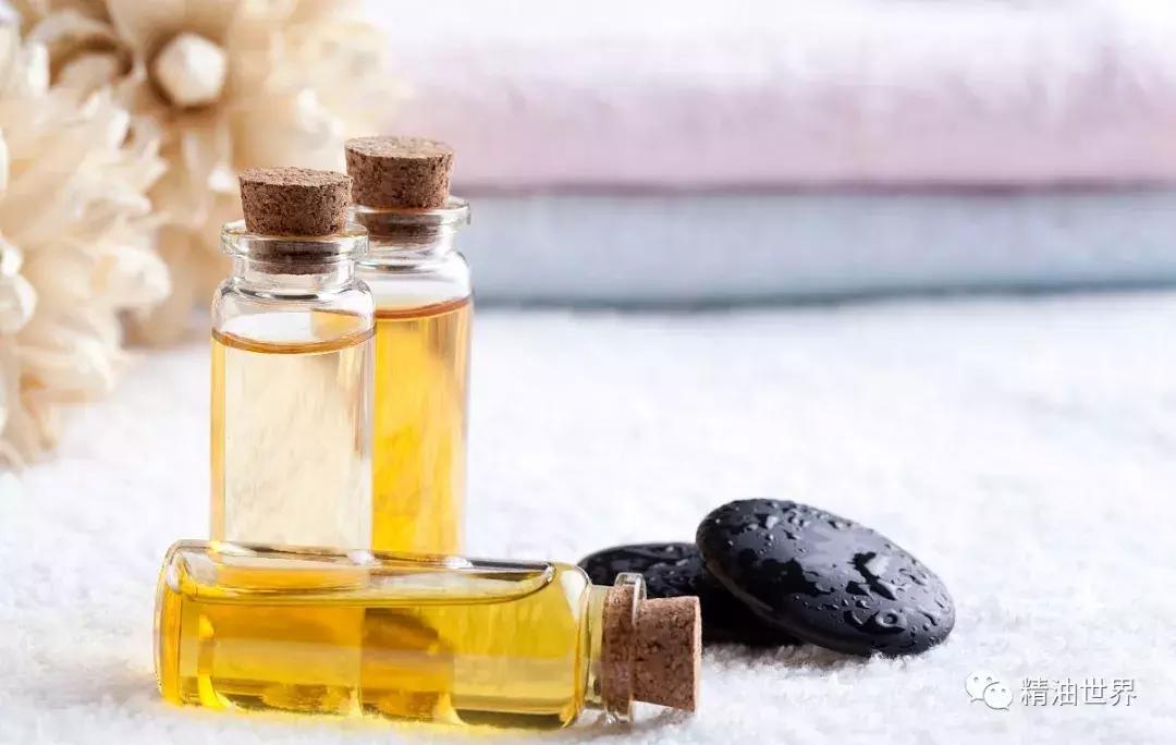 植物为什么会产生油脂,哪些植物含有植物精油