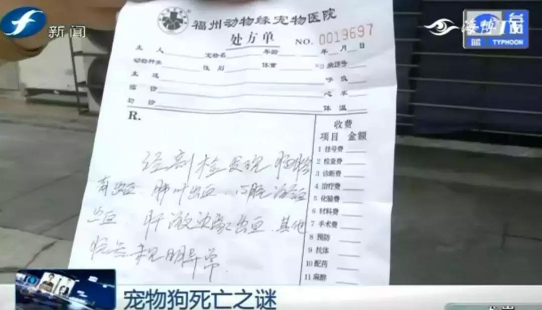 宠物店签订协议寄养死了怎么赔偿,为什么幼犬会在一夜之间莫名死亡