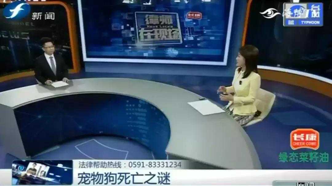 宠物店签订协议寄养死了怎么赔偿,为什么幼犬会在一夜之间莫名死亡