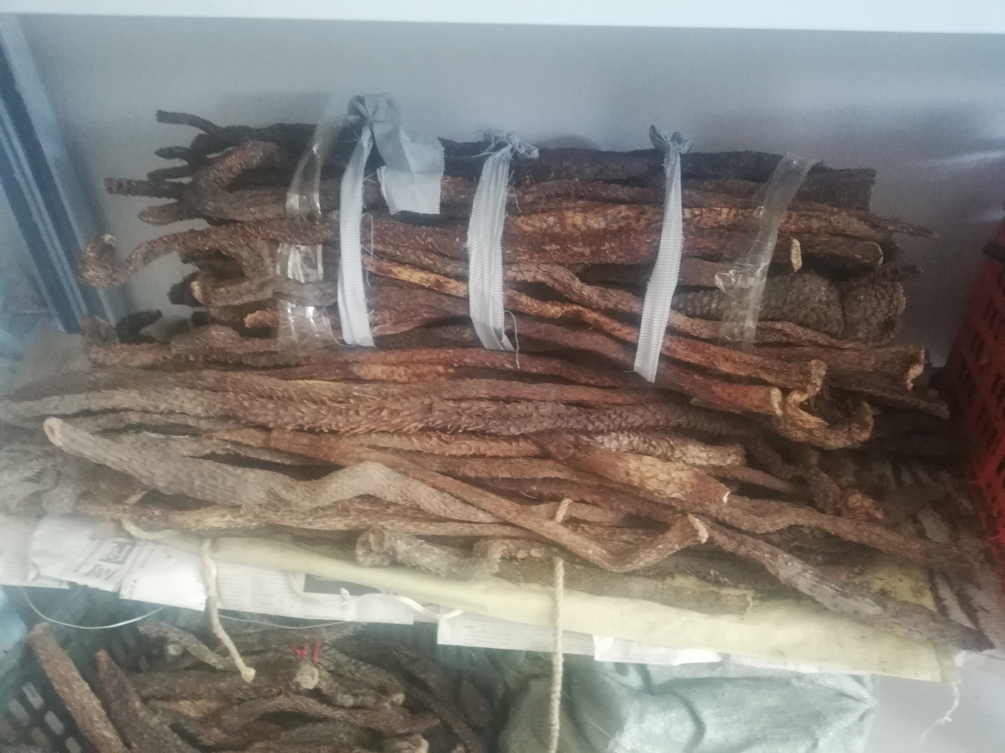 沙漠人参肉苁蓉对身体有啥好处,沙漠人参肉苁蓉吃了有什么功效