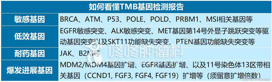 确保安全，锁定神效：四类基因突变，帮你精准使用PD-1！