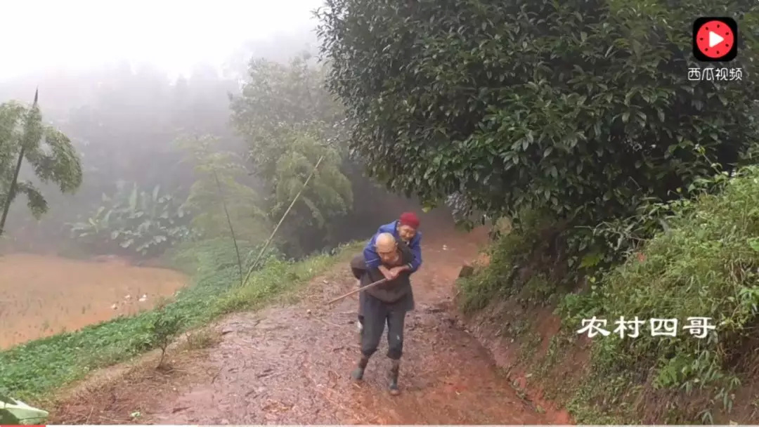 网红农村四哥一年挣多少钱,网红四哥一年赚多少钱