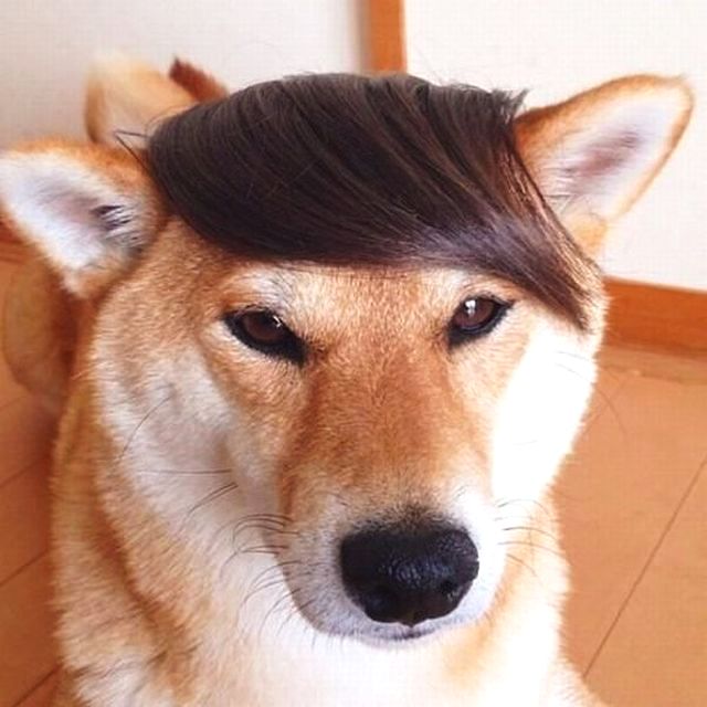 打五元麻将被拘15天,打5元的麻将被拘留了15天