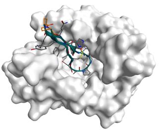 多肽类药物的研究发展,多肽药物的发展前景
