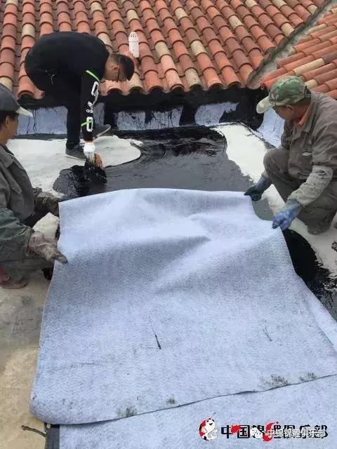 楼顶鱼池有哪些,屋顶鱼池的建造方法