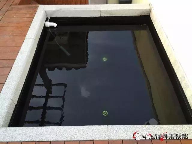 楼顶鱼池有哪些,屋顶鱼池的建造方法