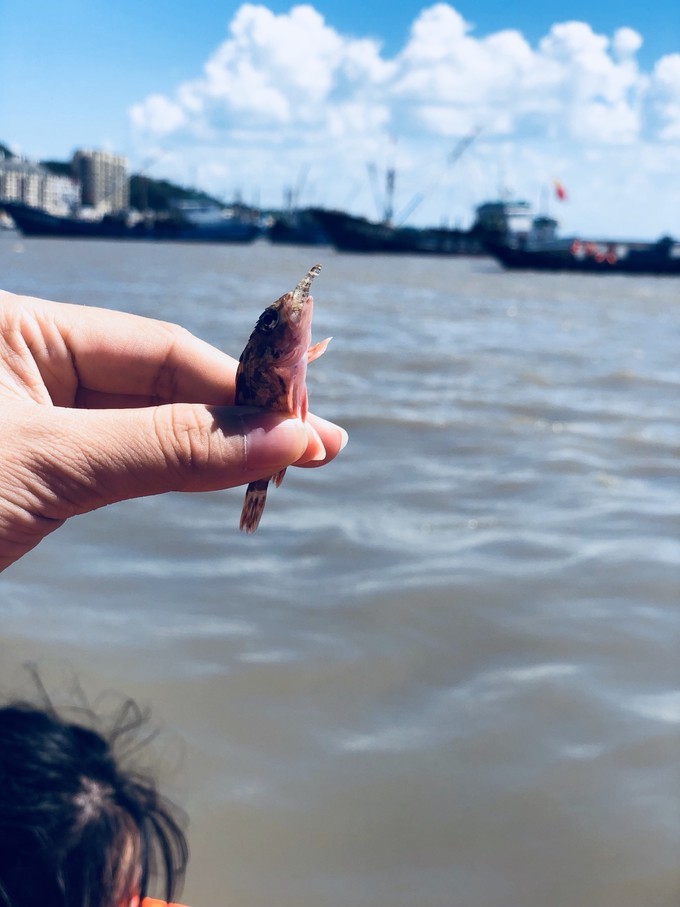 带你一起去嵊泗列岛看海,嵊泗列岛看海