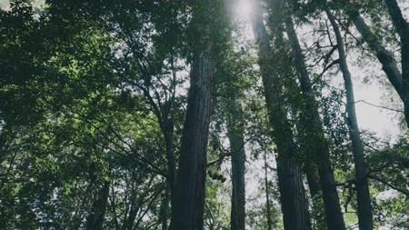 佛经可以翻译成白话吗,佛经还能倒着背