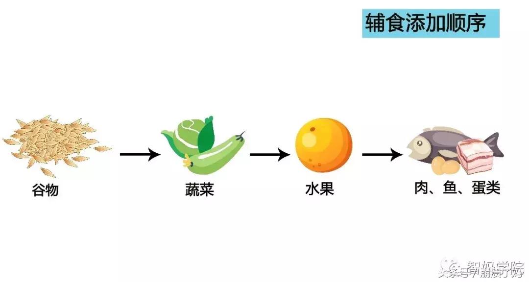 宝宝辅食过敏了怎么办,过敏宝宝辅食6-12个月添加顺序表