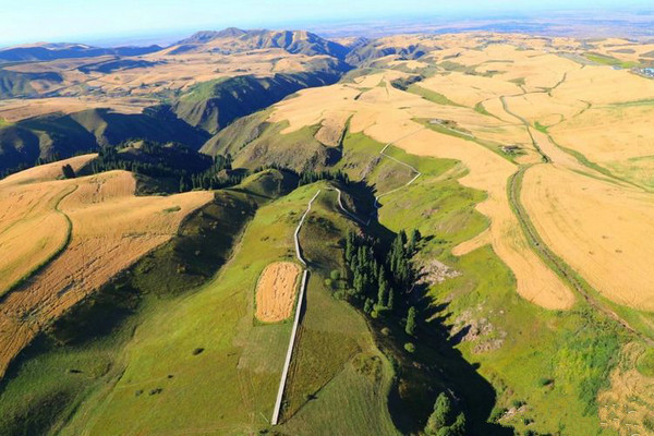 江布拉克的美景描述,风吹麦浪风景视频