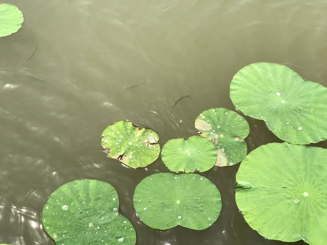 下站该往哪里去,下站了该去哪