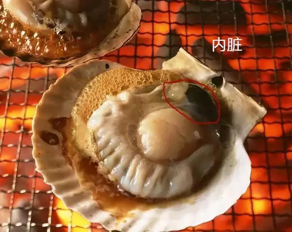 汕头人一般在哪吃海鲜,汕头人喜欢吃的海鲜