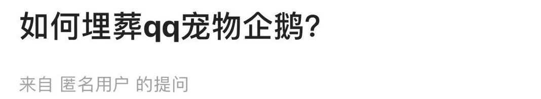 qq宠物面临停服,qq宠物停止运营