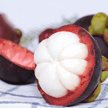 如何面对山竹台风,17级以上的台风山竹