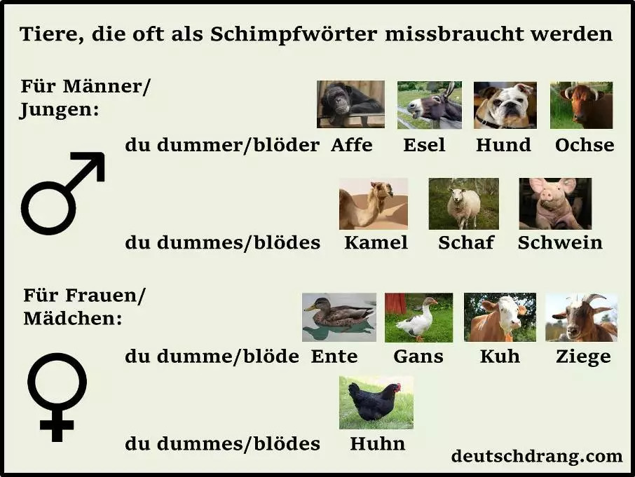 学好德语有什么技巧,德语零基础入门怎么学