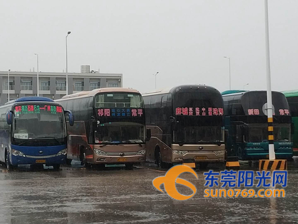 广东东莞客运最新停运公告,东莞全市公交停运是不是真的