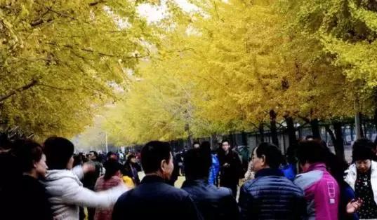 辽大毕业生真实就业,辽大本科毕业要求