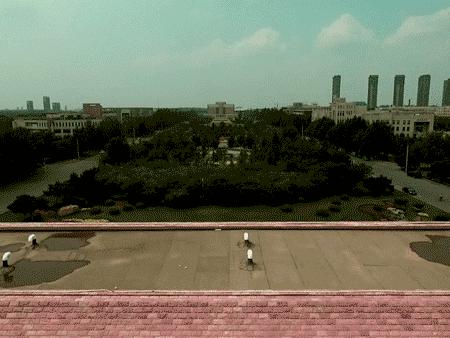 辽大毕业生真实就业,辽大本科毕业要求