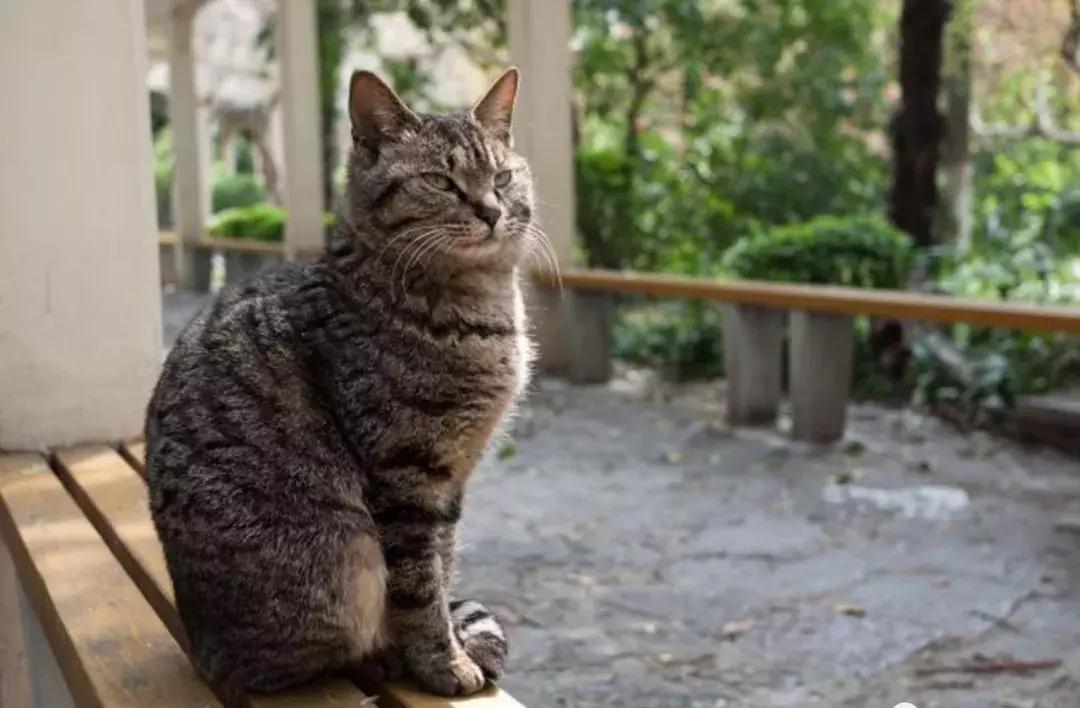 辽大毕业生真实就业,辽大本科毕业要求