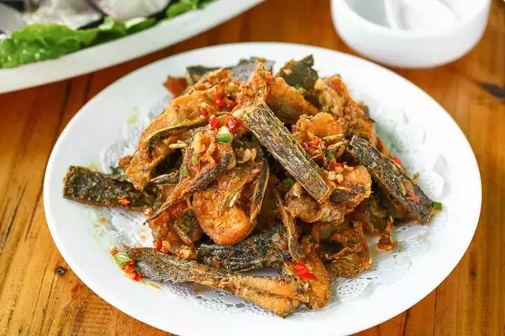 鸭嘴鱼广东有吗,苏州有活的鸭嘴鱼吗