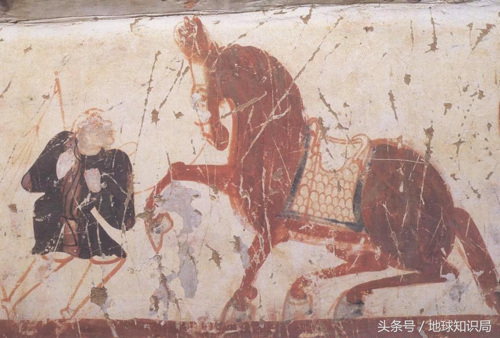 骑完骆驼再骑驴，真正的西域神兽是谁？地球知识局