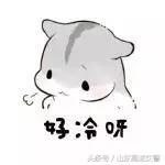 爆笑!收到2米多高代购清单的男子代购回来啦!「蜀黍周趣闻‖NO.43」