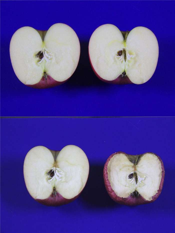 海尔436升全空间保鲜冰箱功率多少,海尔冰箱冷藏室一直24度保鲜10度