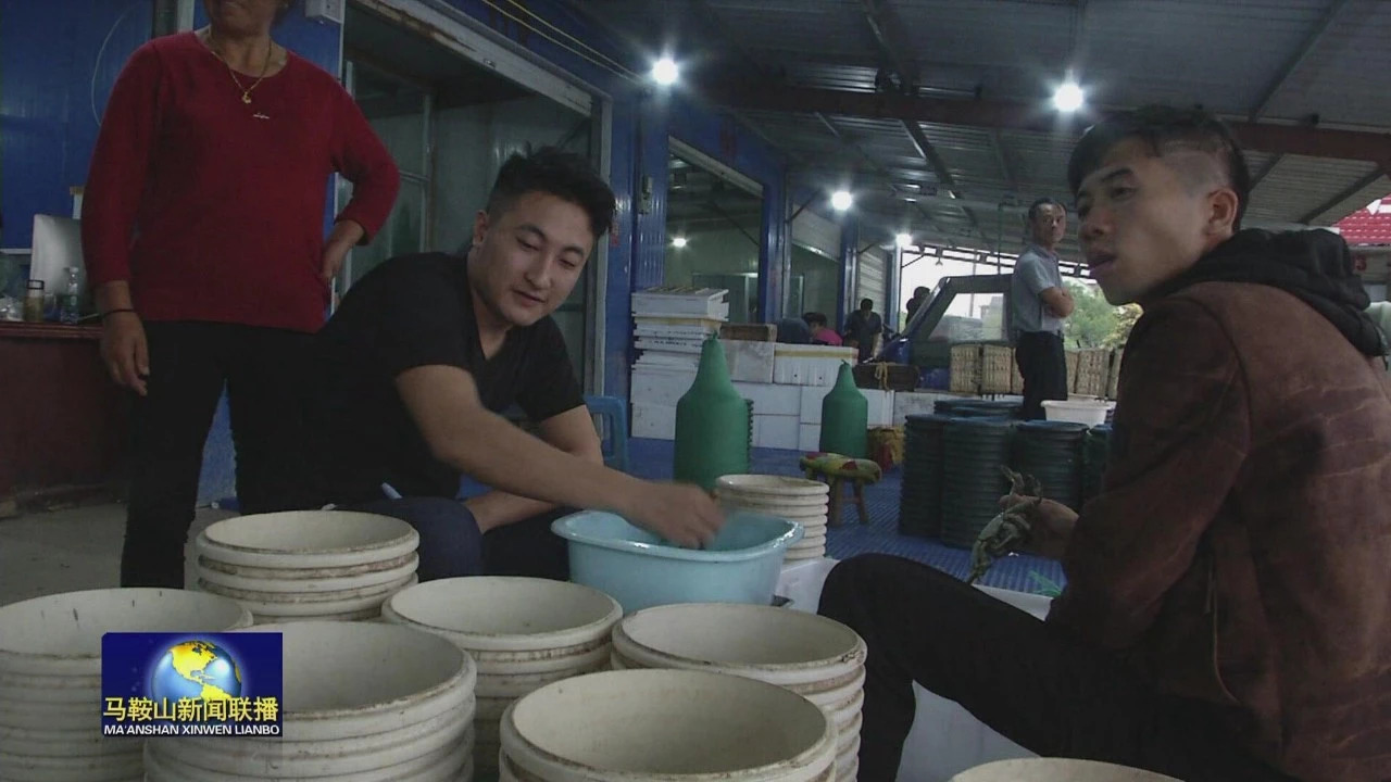 当涂塘南螃蟹批发市场,马鞍山当涂螃蟹批发市场在哪里