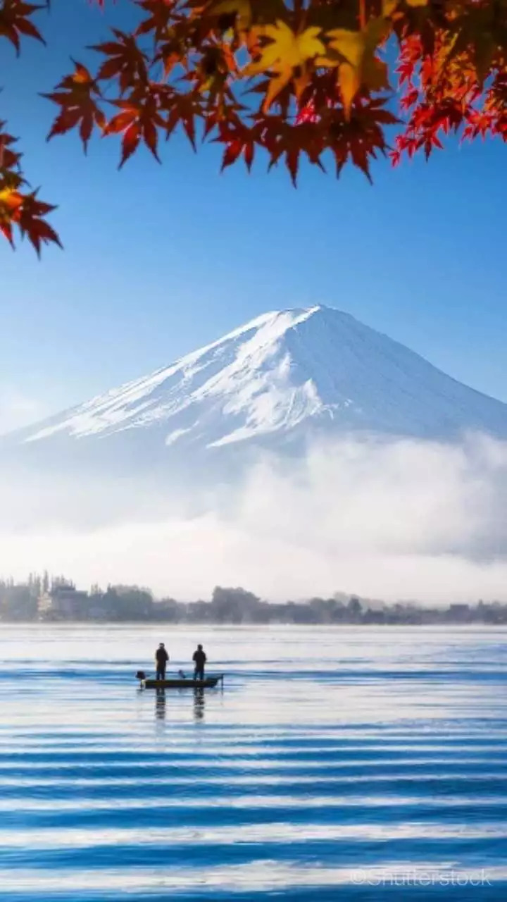 徐则臣讲文学完整版,资深老师教你10个写作技巧