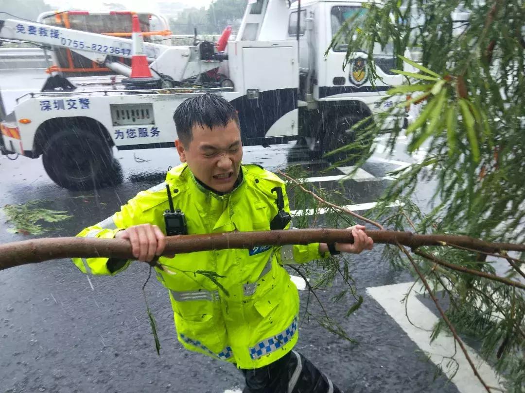 昨日！两千多次警情响起，风雨不停，小黄人不歇息！