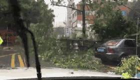 昨日！两千多次警情响起，风雨不停，小黄人不歇息！