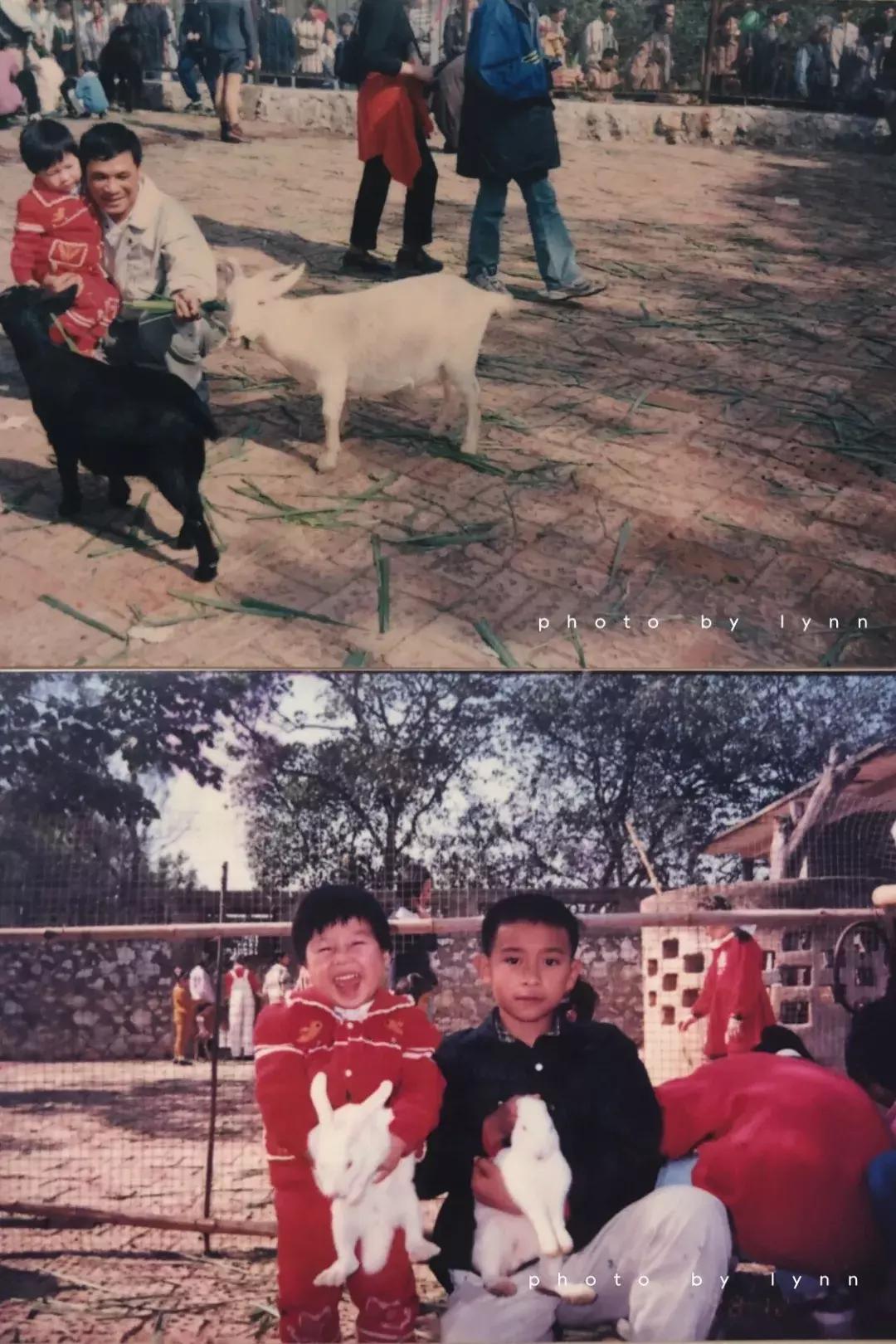 这才是我们眼中的南宁,南宁人说的南宁在哪里