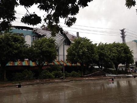 “山竹”来临东莞，倒拔树木，工厂停产……