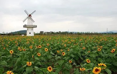 厨师辞职的十大原因,厨师辞职的三大原因