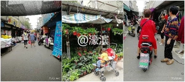 老破小、脏乱差?新桥新村是这样吗?