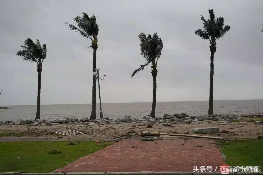 “山竹”过后首个工作日：广东人爬树都要去上班！