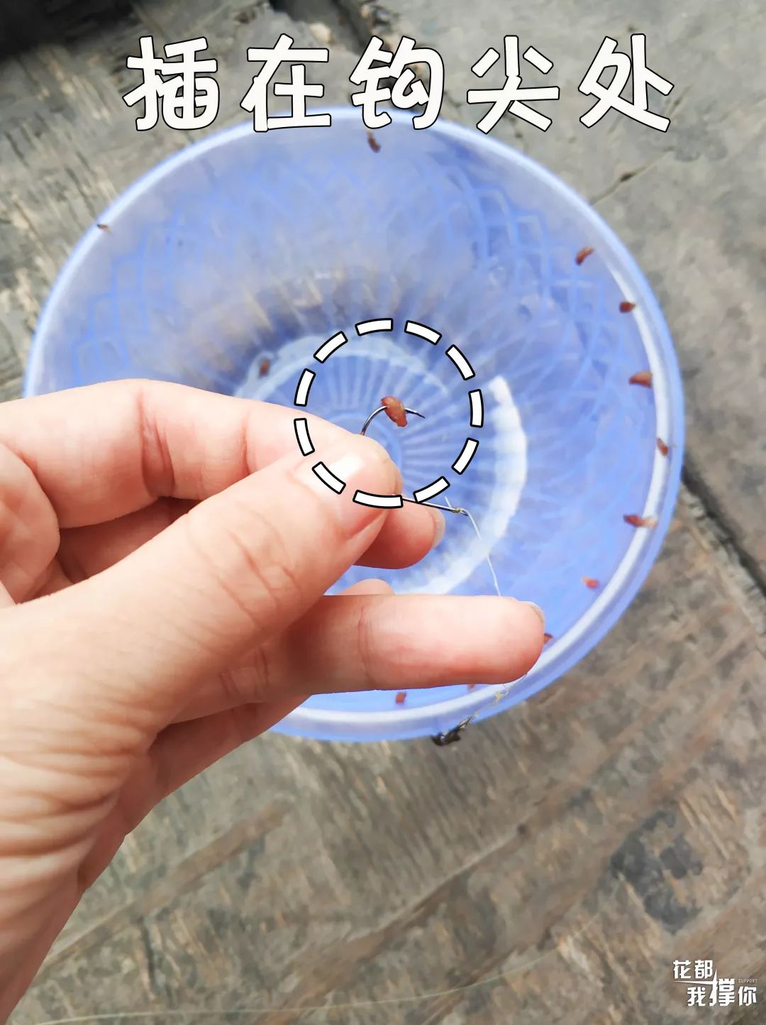 花都三东钓虾场,周末想去海边玩去哪里