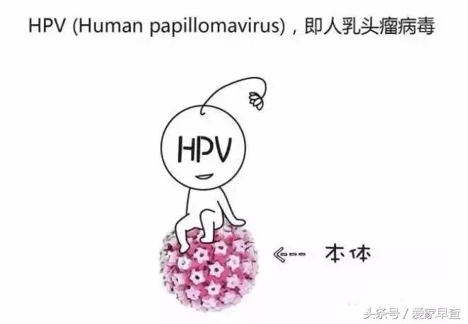 用放大镜看宫颈癌和HPV！