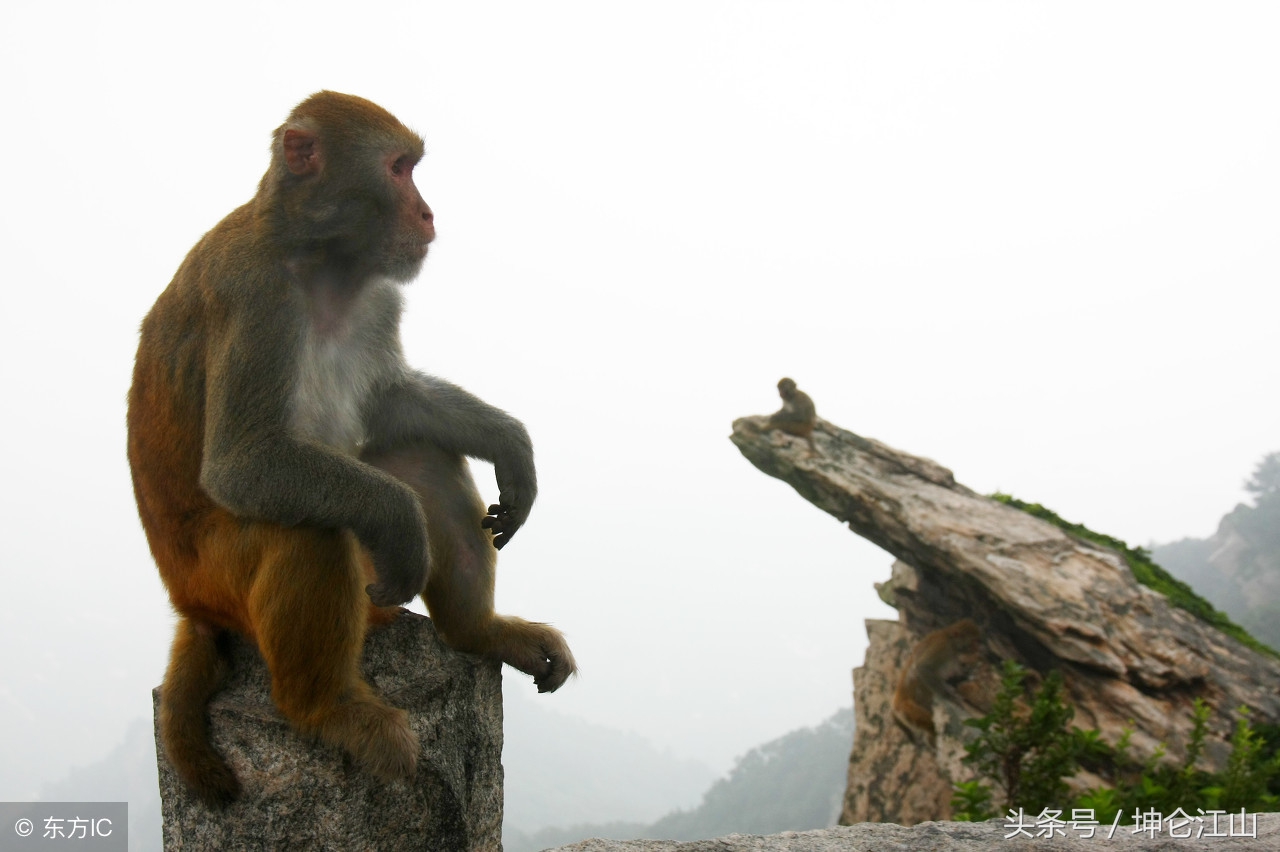 齐天大圣妖界战神,齐天大圣面具战神