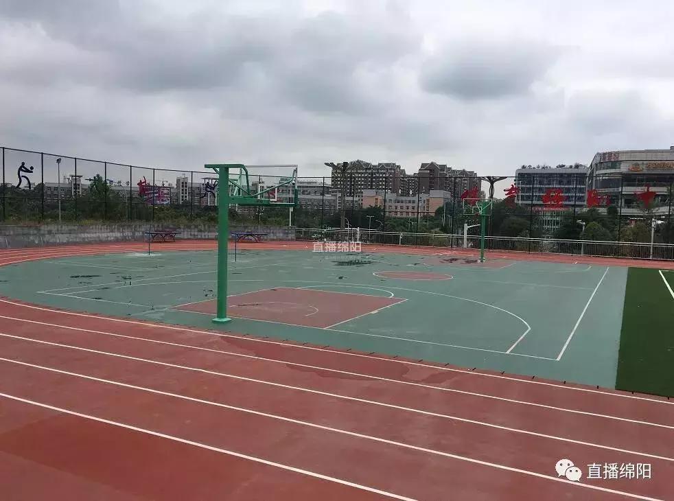 绵阳园艺山的小学哪家好,园艺山住宅区