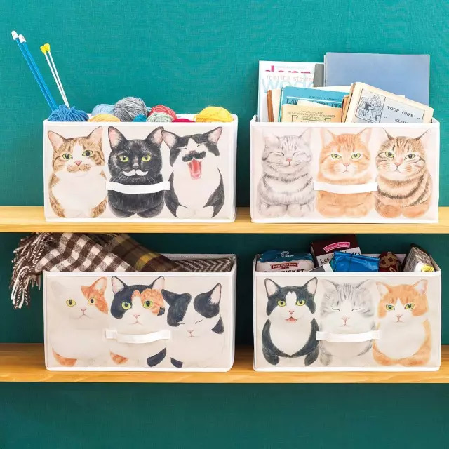 日本人家里东西太多,日本必备10种东西