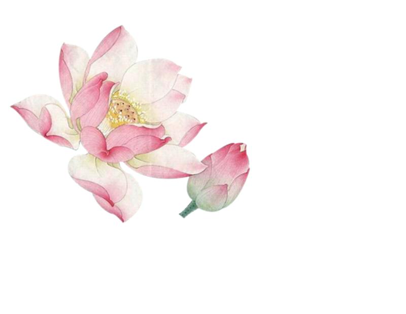 唯美且有深意的古风词语,爱情古风唯美成语