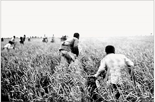 今天商丘地区的防空警报响了吗,商丘防空警报