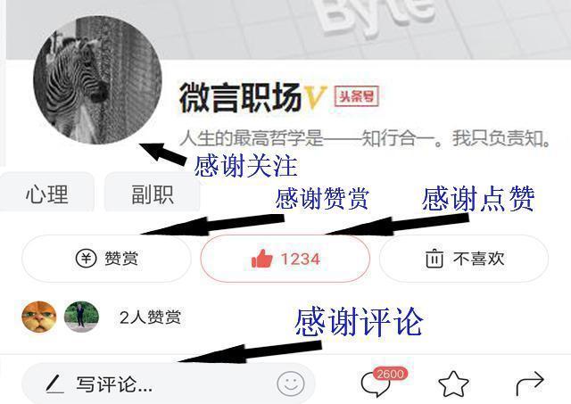 工作里的同事老爱和你抬杠,怎么解决掉跟你抬杠的同事