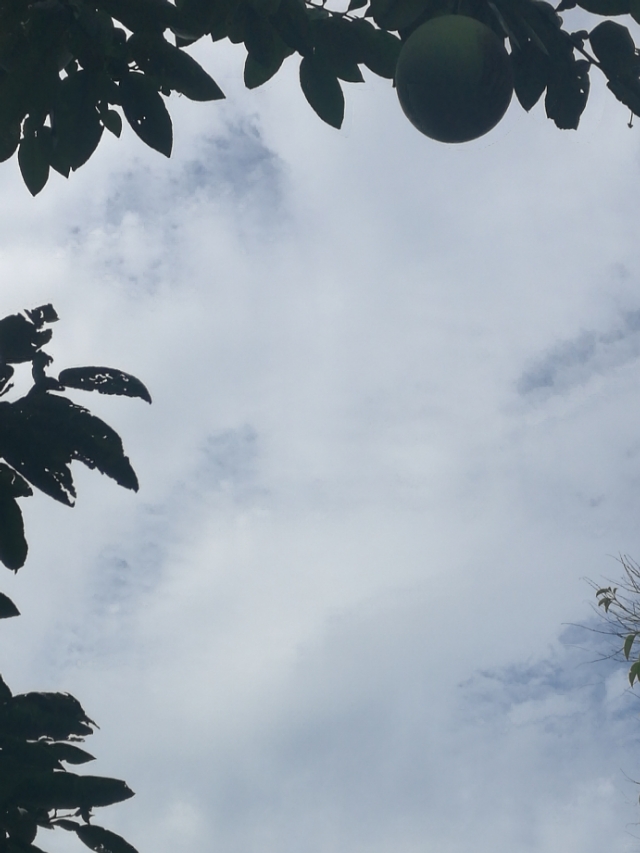 把关爱传递给你最关心的人,对老人最好的关爱是陪伴