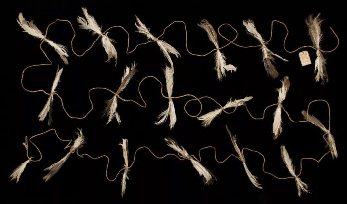 阿什什莫林博物馆图片,阿什莫林艺术与考古博物馆