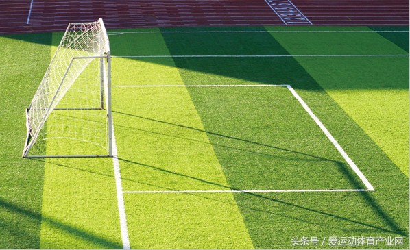 教育部最新通知体育改革,教育部足球发展最新政策