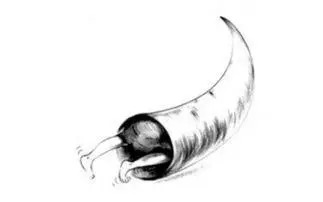 高中生一做题就不会怎么办,高中生做题总看错题怎么办