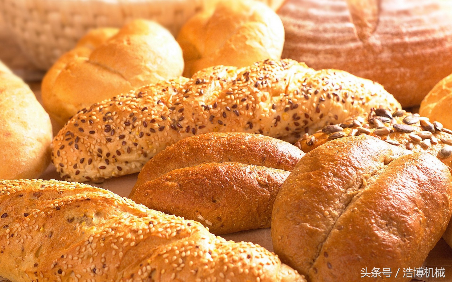 开烘焙面包店基本设备,开烘焙面包店需要准备什么